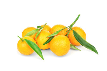 Set of tangerines with leaves on white background