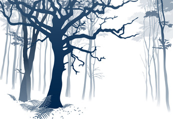 Foggy Forest.
Hand drawn vector illustration of a misty woodland scenery with grandiose oak tree and ferns.