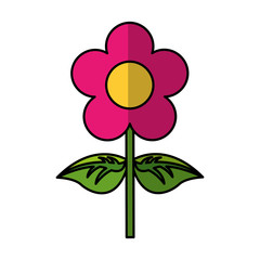 cute flower carden isolated icon vector illustration design