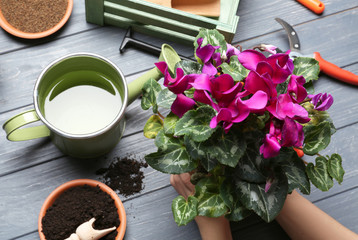 Female gardener planting spring plant at table