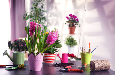 Fresh spring planted flowers on table