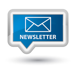 Newsletter prime blue banner button