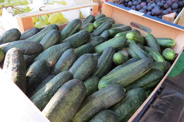 Cucumbers at the market in Bar-city, Montenegro