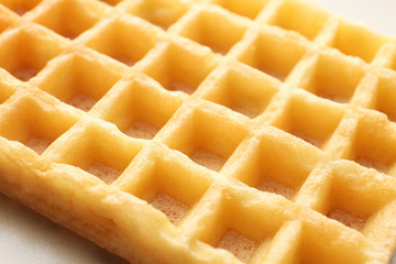 Wafer cells closeup