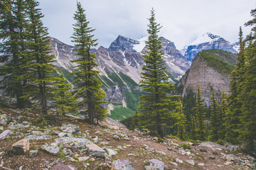 Turquoise Lake in Canadian Rocky Mountains
