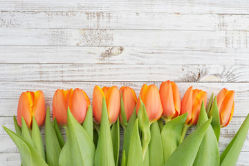 Red tulips over wooden background