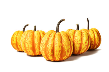 Five pumpkins