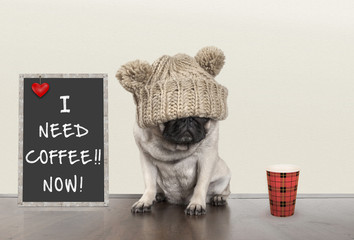 cute pug puppy dog with bad morning mood, sitting next to blackboard sign with text I need coffee...