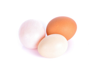 eggs on white background
