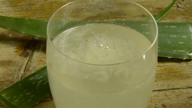 Aloe vera Echte S&aacute;bila L&aelig;ge-aloe &aacute;loe de Curazao &Alpha;&lambda;ό&eta; jugo &eta; &gamma;&nu;ή&sigma;&iota;&alpha; صبر زرد طبی Succo घृत कुमारी אלוורה juice Алоэ jus
 настоящее 費拉蘆薈 Saft L&ocirc; hội