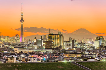 Fototapeta premium Tokyo Japan and Mt. Fuji
