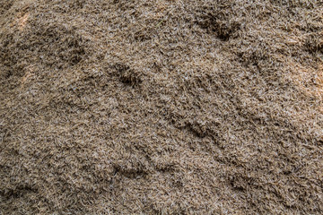 husk, chaff