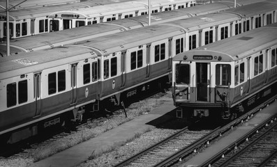 Fototapeta premium Red Line 2