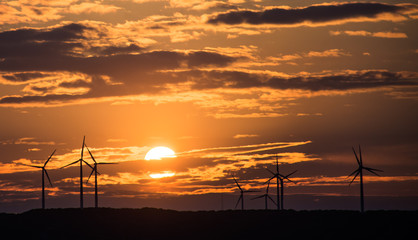Obraz premium sunset windmills