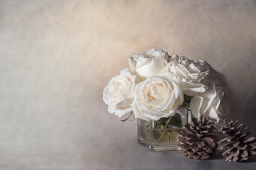 rose flowers close up on background. .