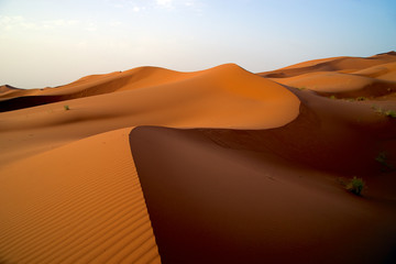 Fototapeta na wymiar apricot Sahara desert sand dunes morocco Africa sunrise sunset