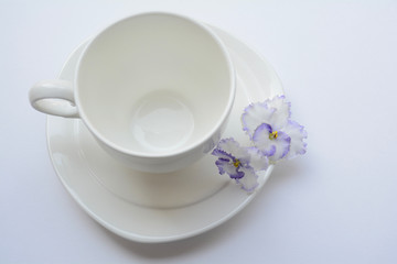 Obraz na płótnie Canvas teacup