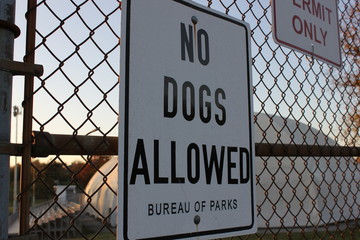 No Dogs Allowed
