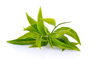 tea leaves on white background