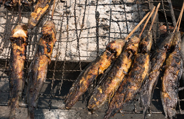 Grilled Catfish