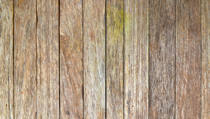 old, grunge wood panels used as background