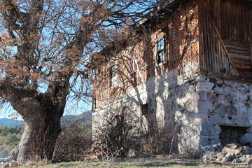 Old abandoned wooden house