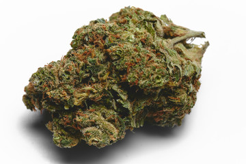 Close up of Jack Herrer medical marijuana bud