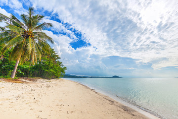 Tropical Thong Tanod Beach on Koh Samui in Thailand.