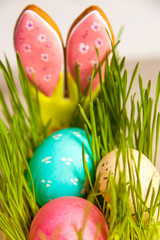 Easter composition of the branches, cakes, tulips colored eggs cooked for the holiday on the wooden background