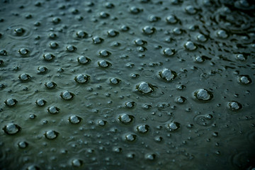 Tranquil Scene of Bubbles filling the surface of a small pond
