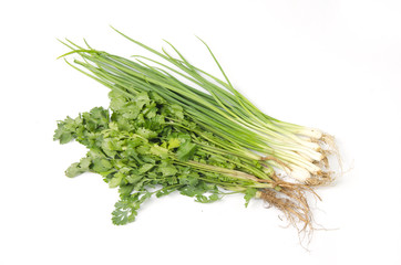 Fresh coriander and onion herb on white background