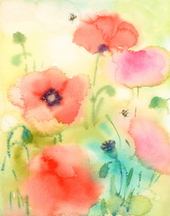 Watercolor Flowers Poppies Abstract Floral Background Texture Bright Red Hand Painted Illustration