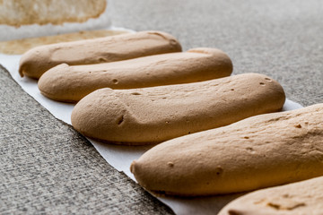 Ladyfinger or Savayer Cookies / Biscuits.