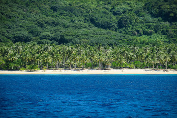 Distant Beach Full of Coconut Trees on Island Hopping Tour