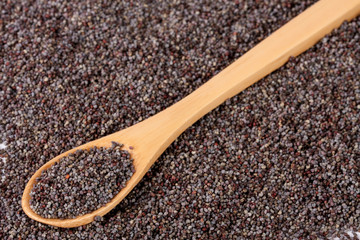 poppy seeds with a spoon as background close-up. Top view