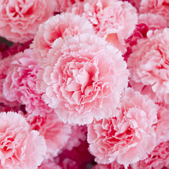 Abstract background of flowers