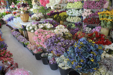 Colorful flowers in a flower shop on a market