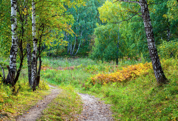 Autumn in West Siberia.