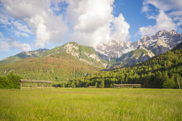 Fototapeta na wymiar Alpine meadow in the Julian Alps in Slovenia