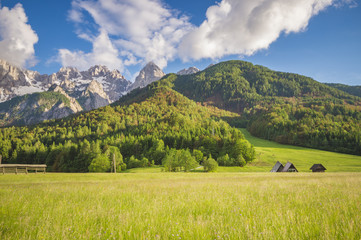 Obraz premium Alpine meadow in the Julian Alps in Slovenia