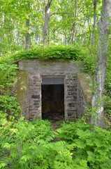 Бункер в лесу