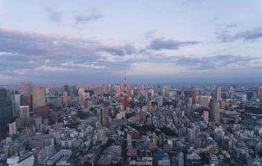 東京都市風景　夕暮れ　東京タワーと都心の街並　浜松町　晴海　汐留　豊洲