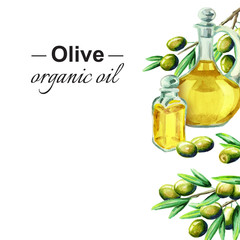 Olive vertical template. Watercolor background