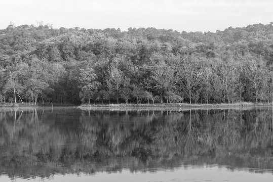 Fototapeta forest reflection on water lake, black and white