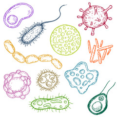 Set of form virus, cell, bacteria or microbe in hand drawn vintage style. Retro vector illustration isolated on white background.
