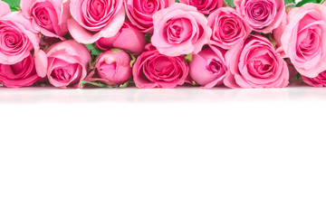 border of Beautiful fresh sweet pink rose for love romantic valentine or wedding background