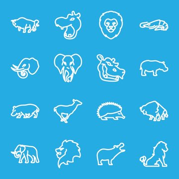Set of 16 zoo outline icons