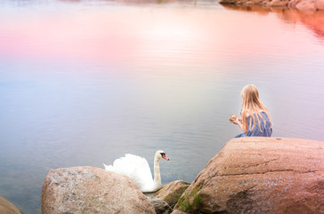Young blonde girl feed a swan