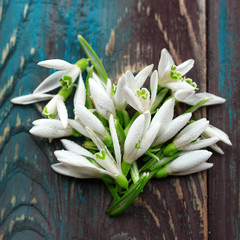 Heart of white snowdrops on blue and brown wooden background