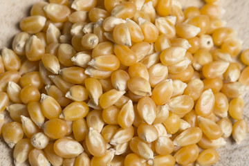closeup of corn seeds on wooden background